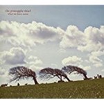 Pineapple Thief - What We Have Sown