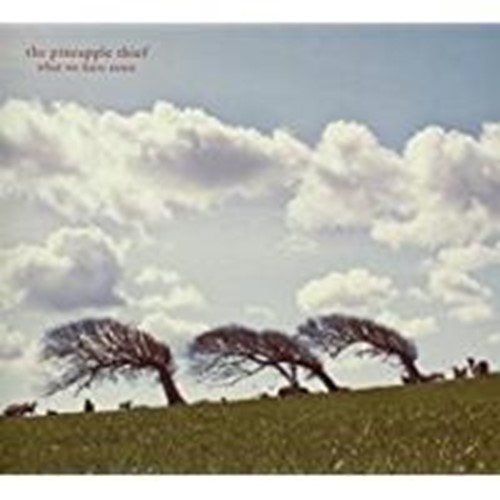 Pineapple Thief - What We Have Sown