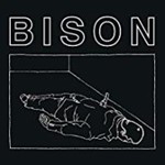 Bison - One Thousand Needles