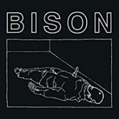 Bison - One Thousand Needles