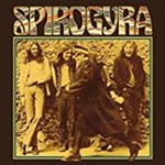 Spirogyra - St Radigans
