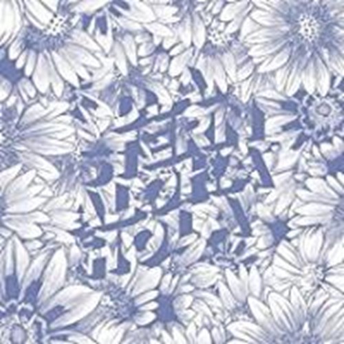 D.a. Stern - Aloha Hola