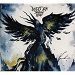 Insect Ark - Marrow Hymns
