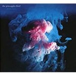 Pineapple Thief - All The Wars