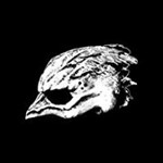 Legend Of The Seagullmen - Legend Of The Seagullmen