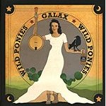 Wild Ponies - Galax