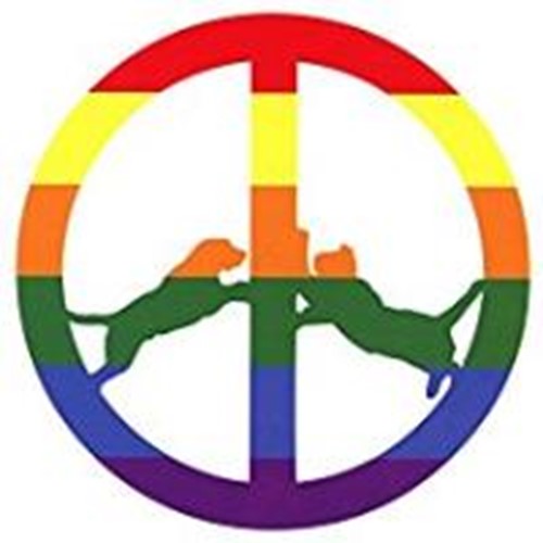 Hype Williams - Rainbow Edition