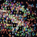 Joywave - Content
