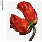 Pet Shop Boys - Release: Further Listening '01-'04