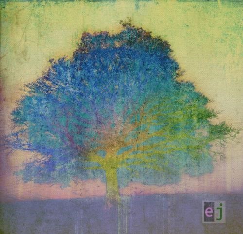 Eric Johnson - Ej