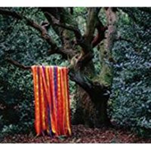 James Holden/animal Spirits - Animal Spirits