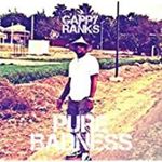 Gappy Ranks - Pure Badness