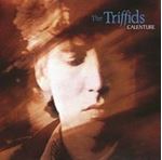 The Triffids - Calenture