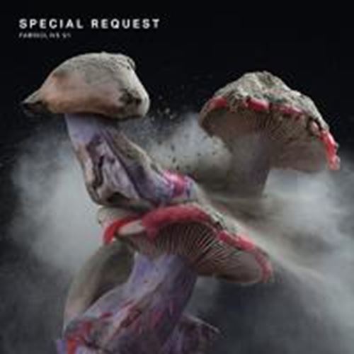 Various - Fabriclive 91: Special Request