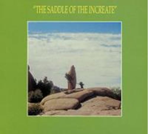 Sun Araw - The Saddle Of The Increate