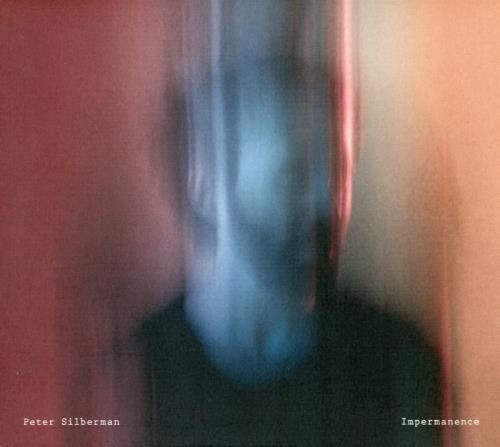 Peter Silberman - Impermanence Transgressive