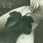 East of Eden - New Leaf