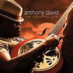 Anthony David - The Powerful Now