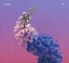 Flume - Skin