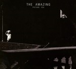 The Amazing - Picture You