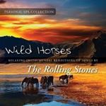 Judson Mancebo - Wild Horses