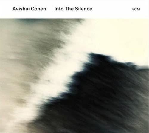 Avishai Cohen - Into The Silence