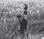 Jesu/sun Kil Moon - America's Most Wanted