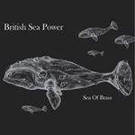 British Sea Power - Sea Of Brass