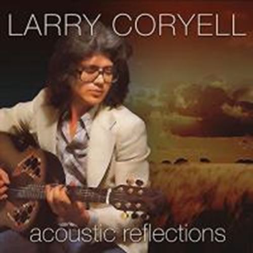 Larry Coryell - Acoustic Reflections