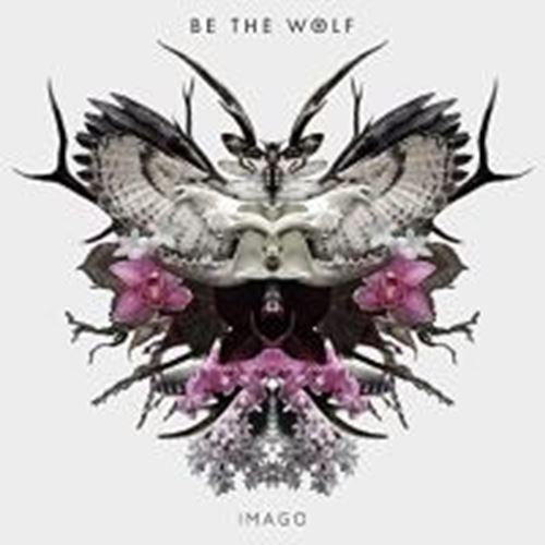 Be The Wolf - Imago