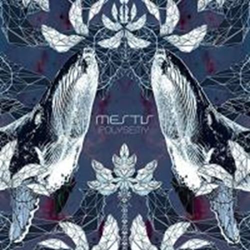 Mestís - Polysemy