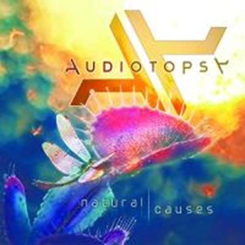 Audiotopsy - Natural Causes