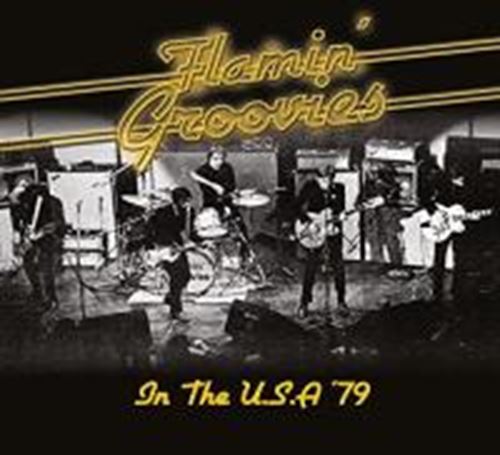 Flamin' Groovies - In The U.s.a. '79