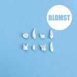 Blomst - Blomst