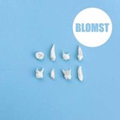 Blomst - Blomst