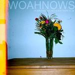 Woahnows - Understanding & Everything Else