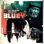 Bluey - Life Between The Notes