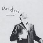 David Gray - Foundling