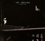 The Amazing - Picture You