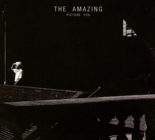 The Amazing - Picture You