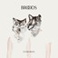 Broods - Evergreen
