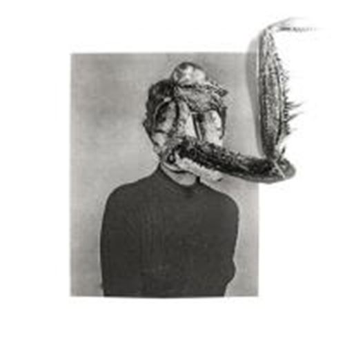 Obsidian Kingdom - Mantiis - An Agony In Fourteen Bite