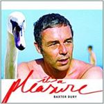 Baxter Dury - It's A Pleasure