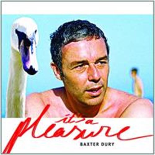 Baxter Dury - It's A Pleasure