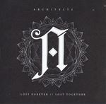 Architects - Lost Forever, Lost Together