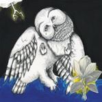 Songs: Ohia - Magnolia Electric Co.