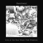 Sentient - Live At The Real Music Club Brighto