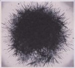 D.m. Stith - Heavy Ghost Appendices