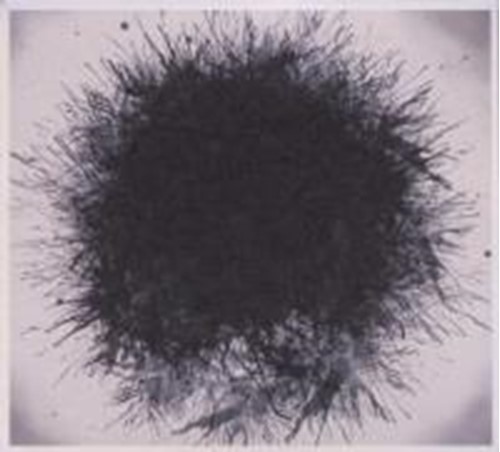 D.m. Stith - Heavy Ghost Appendices