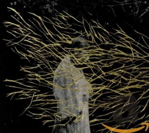 Forest Swords - Engravings